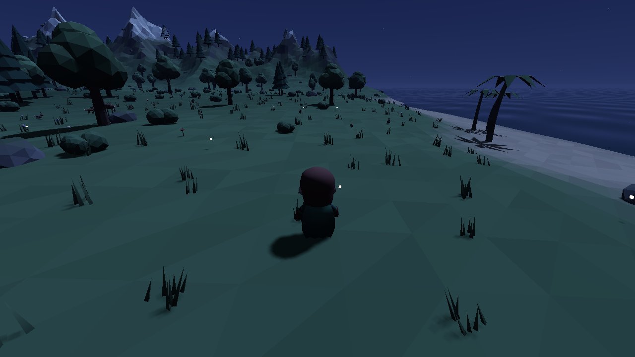 Die Insel bei Nacht